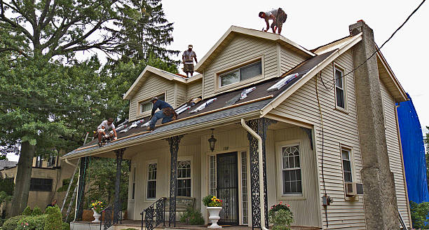 Best Storm Damage Roof Repair  in Amsterdam, NY