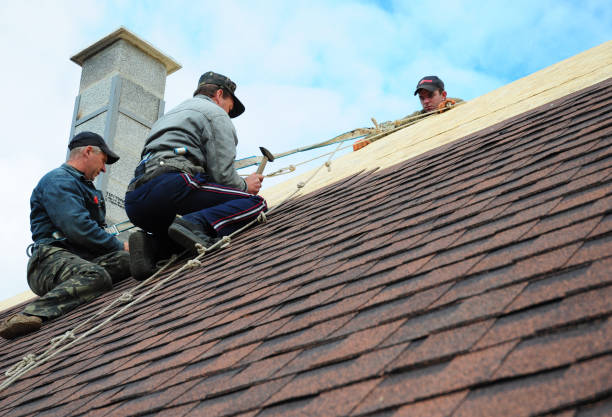 Quick and Trustworthy Emergency Roof Repair Services in Amsterdam, NY